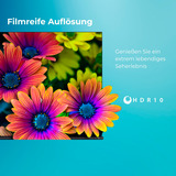 Toshiba 24WF3F63DAR, LED-Fernseher 60 cm (24 Zoll), schwarz, WXGA, Fire TV