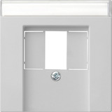 Gira Abdeckung für Telekommunikations-Anschluss-Einheit und Universal-Seriell-Bus mit Beschriftungsfeld matt lackiert grau, Retail