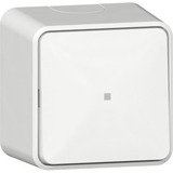 Gira Wipptaster Wechsler mit Kontrollfenster und Montageplatte einpolig aus Kunststoff weiß, Retail