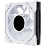 Lian Li UNI FAN SL-INF LCD FLEX 120 Wireless, Gehäuselüfter weiß, Reverse, 120 mm