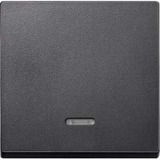 Merten Wippe Kontrollfenster für Schalter und Taster Einsatz, zweiteilige Wippe, Thermoplast anthrazit, Retail