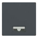 Merten Wippe mit Symbolfenster rechteckig für Kontrollschalter- und Taster-Einsatz, 1-fach anthrazit, Retail