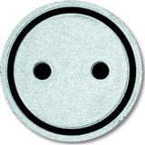 Busch-Jaeger Tastersymbol Steckdose 2144 ST Retail