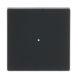 Busch-Jaeger Wippe future linear schwarz, Retail