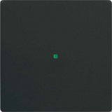 Busch-Jaeger Wippe future linear schwarz, Retail