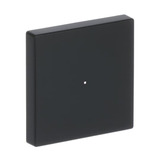 Busch-Jaeger Wippe future linear schwarz, Retail