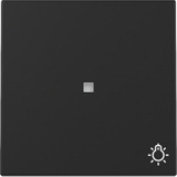 Gira GIRA Wippe Kontrollf. + Symb. Schwarz m 3674005 schwarz, Retail