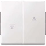 Merten Wippe für Rollladen-Wippschalter- und Wipptaster-Einsatz Typ 343419 weiß (glänzend), Retail