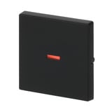 Busch-Jaeger Kontrollwippe einteilige Wippe matt, Abdeckung schwarz, Retail