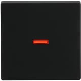 Busch-Jaeger Kontrollwippe einteilige Wippe matt, Abdeckung schwarz, Retail