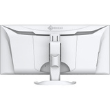 EIZO FlexScan EV3451X-WT, LED-Monitor 86.7 cm (34.1 Zoll), weiß, UWQHD, Curved, HDMI, DP, USB-C, USB-Hub, 100Hz Panel