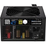 ENDORFY Enduro L6 750W, PC-Netzteil schwarz, 1x 12-Pin High Power GPU, 3x PCIe, 750 Watt