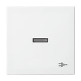 Busch-Jaeger Wippe mit Aufdruck mit kleiner transparenter Kalotte mit Symbol Stecker Retail