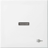 Busch-Jaeger Wippe mit Aufdruck mit kleiner transparenter Kalotte mit Symbol Stecker Retail