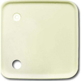 Busch-Jaeger Zentralscheibe für Zugtaster, Abdeckung weiß, Retail