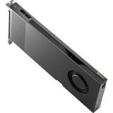 PNY NVIDIA RTX PRO 4000 Blackwell 24GB PB, Grafikkarte Retail