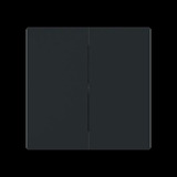 Busch-Jaeger Wippe geschlossen schwarz, Retail