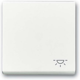 Busch-Jaeger Wippe mit Aufdruck weiß, Retail