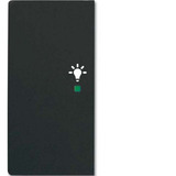 Busch-Jaeger Wippe matt future linear schwarz, Retail