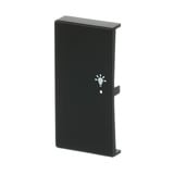 Busch-Jaeger Wippe matt future linear schwarz, Retail