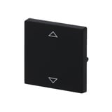 Busch-Jaeger Wippe solo für Tasterschalter, Abdeckung schwarz, Retail