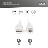 Digitus USB 2.0 Anschlusskabel USB-A (Stecker) > USB-B (Stecker) beige, 1 Meter