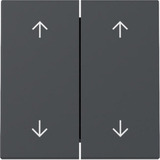 Gira Wippe zweifach mit Pfeilsymbolen anthrazit, Retail