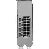 PNY NVIDIA RTX PRO 2000 Blackwell Generation 16GB PB, Grafikkarte Bulk