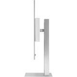 ASUS ProArt Display PA32UCDMR-K, OLED-Monitor 80.3 cm (31.5 Zoll), silber, UltraHD/4K, Thunderbolt 4, Auto-Kalibrierung, USB-Hub, 240Hz Panel