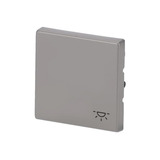 Busch-Jaeger Wippe mit Aufdruck edelstahl, Retail