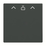 Busch-Jaeger Zentrale Scheibe Cardschalter Radiofrequenzidentifikation, Abdeckung anthrazit, Retail