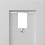 Gira Abdeckung für Telekommunikations-Anschluss-Einheit und Universal-Serieller Bus matt lackiert grau, Retail