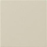 Gira Wippe einfach unbedruckt glänzend weiß, Retail