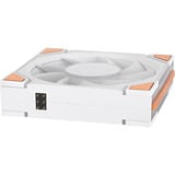 Thermaltake SWAFAN 120 EX INFINITY ARGB Sync PC Cooling Fan Wood Edition, Gehäuselüfter weiß, 3er-Pack, 120 mm, 124 mm