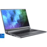 Acer Predator Triton 500 SE (PT516-51s-72LN), Gaming-Notebook grau, Windows 11 Home 64-Bit, 165 Hz Display, 1 TB SSD
