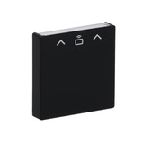 Busch-Jaeger Zentralscheibe Cardschalter Radiofrequenz-Identifikation 1792 Radiofrequenz-Identifikation-885, Abdeckung schwarz, Retail