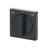 Busch-Jaeger Zentralscheibe mit Drehgriff für Jalousie, Abdeckung anthrazit, Retail