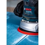 Bosch Expert C470 Schleifblatt, Ø 150mm, K150 Multilochung 50 Stück, für Exzenterschleifer