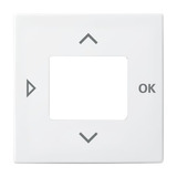 Busch-Jaeger Zentralscheibe für Komfort-Timer und Standard-Timer, Zentralplatte Retail