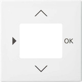 Busch-Jaeger Zentralscheibe für Komfort-Timer und Standard-Timer, Zentralplatte Retail
