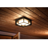 Philips HUE White & Color Ambiance Econic Outdoor quadratische Wandleuchte, LED-Leuchte schwarz