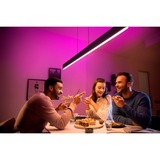 Philips Hue White & Color Ambiance Ensis Pendelleuchte, LED-Leuchte schwarz