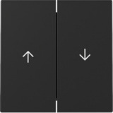 Gira Wippe zweifach mit Pfeilsymbol schwarz, Retail