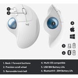 Logitech ERGO M575 for Business, Trackball hellgrau/blau