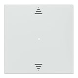 Merten Wippe einteilige mit Pfeilsymbol für System M, Typ MEG5215-0325 weiß (glänzend), Retail