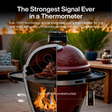 Typhur Sync Gold Dual Geschenkset inkl. Aufbewahrungstasche, Thermometer schwarz, inkl. 2 Sonden