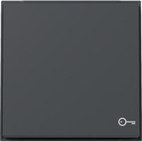 Gira Wippe Symbol Tür anthrazit, Retail