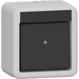 Gira Wippschalter 10 Ampere 250 Volt Universal-Aus-Wechselschalter Kunststoff grau, Retail