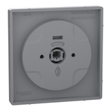 Merten Zentralplatte Edelstahl lackiert aus Thermoplast edelstahl, Retail