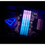 ADATA DIMM 16 GB DDR5-6000 (1x 16 GB), Arbeitsspeicher schwarz, AX5U6000C4816G-SLABRBK, XPG Lancer Blade RGB, INTEL XMP, AMD EXPO